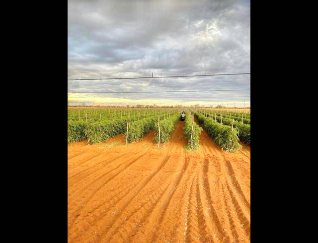 1,314.30HA FARM FOR SALE IN SWARTWATER
